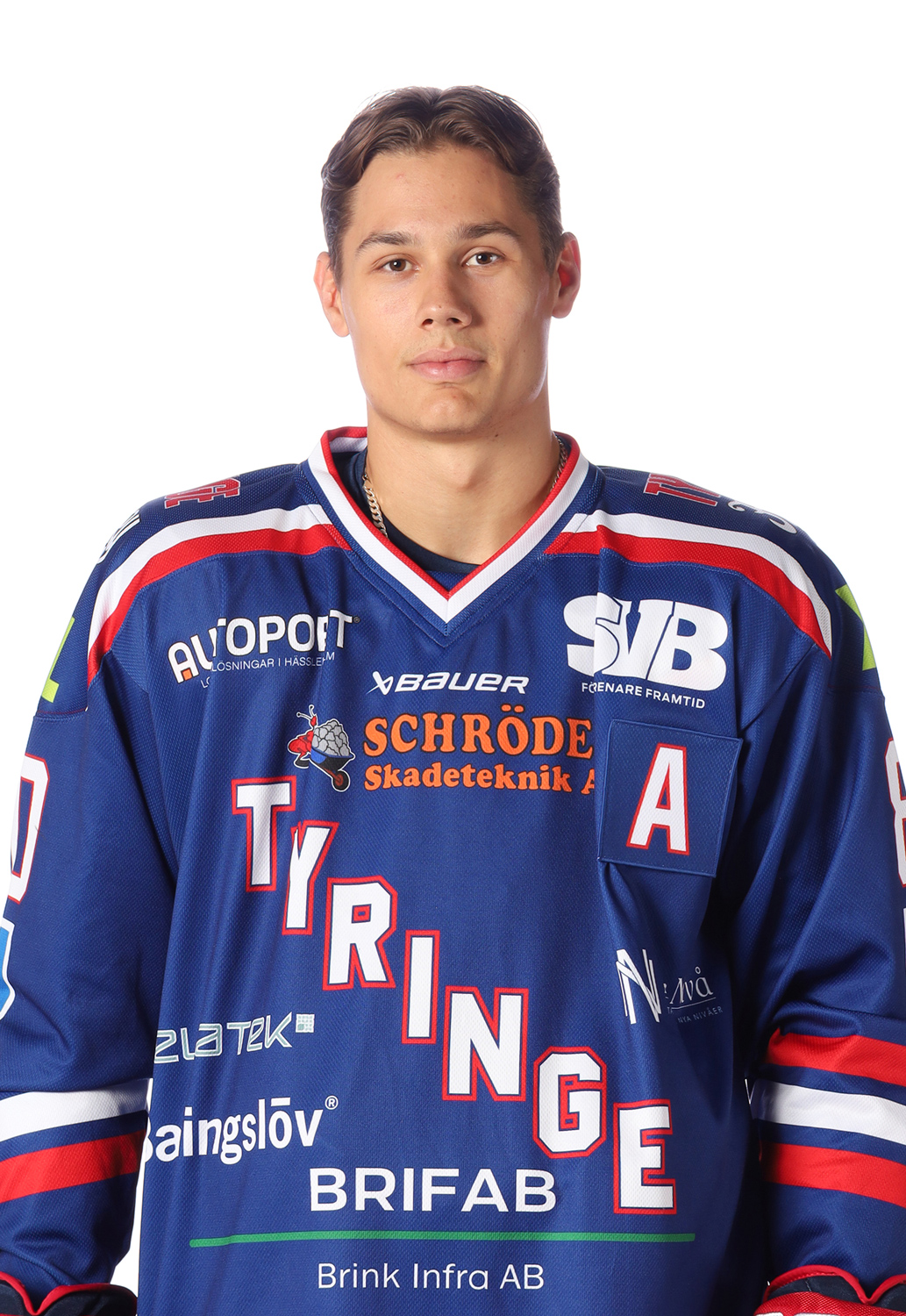 Ludvig-Laband